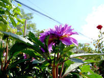 һ�����¾�