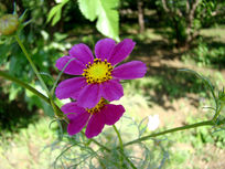 һ��һ�������˹��