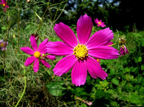 �����յĴ�˹��