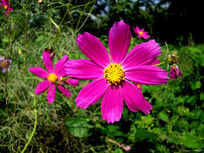 �����յĴ�˹��