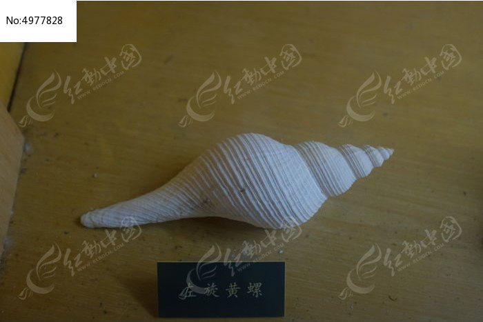 ��������ͼƬ