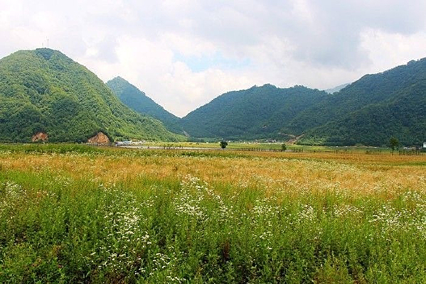 ��ũ�ܸ�ɽʪ�ش�ź�