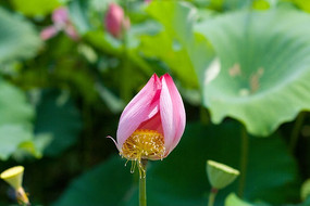 ����ϵ��