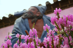 �����ʫ��