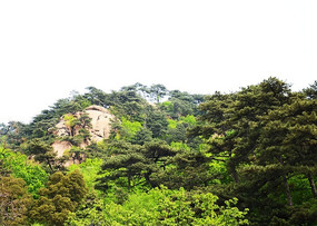 ��Ȫ�·羰����ɽ��������Ⱥ