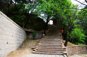 ��Ȫ�·羰����ʯ������ľ