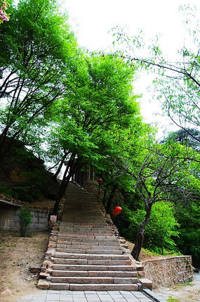 ��Ȫ�·羰������ľ��ʯ��