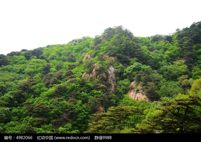 龍泉寺景區的山林與山峰