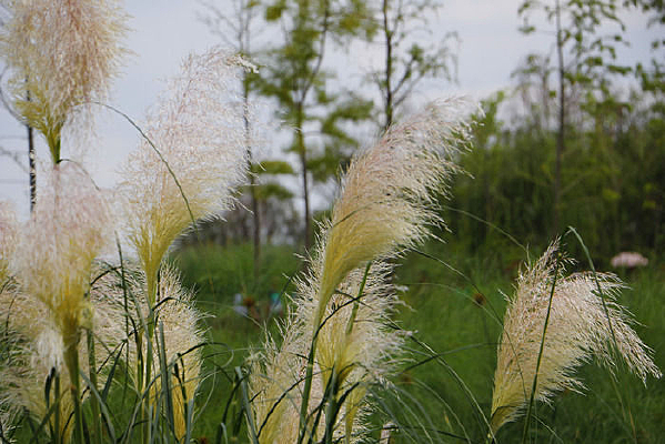 Ư�����«έ