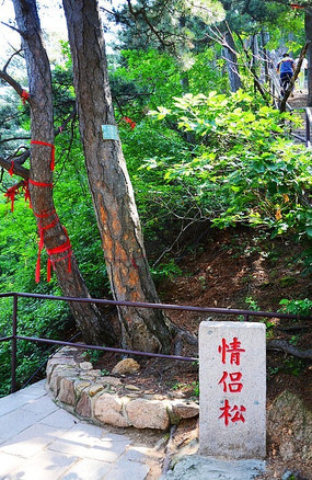 ǧɽ����·羰����������