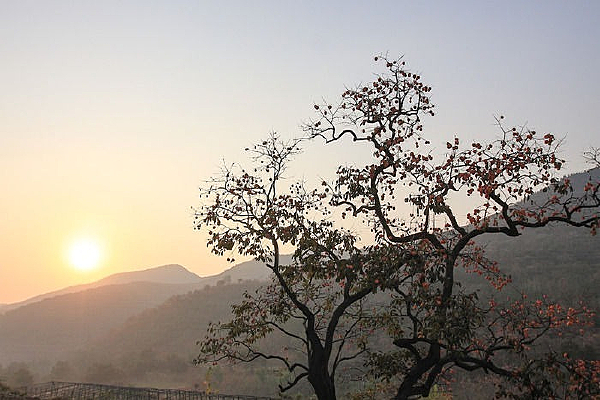 һ��������