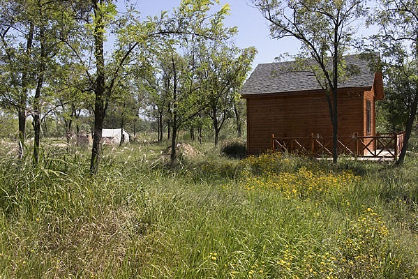 ɭ���е�Сľ��