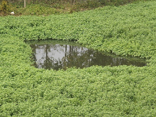 ������Χ