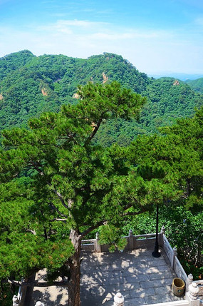 ������ǧɽ���ձ���Ժ������