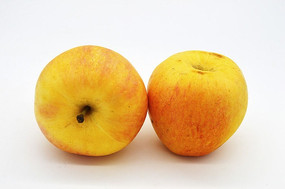 ƻ������