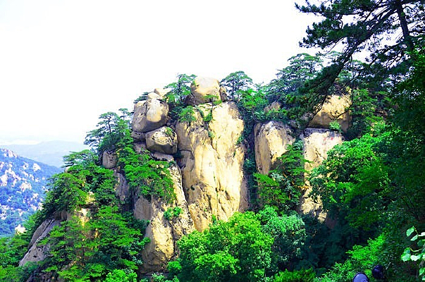 �������