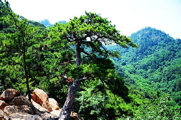 ɽ����ɽ��