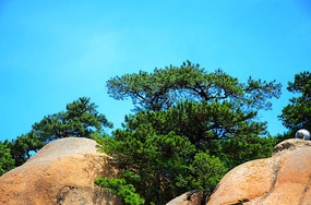 ǧɽ��ɴ��ɽ��ɽ��������