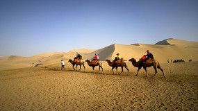 ɳĮ������