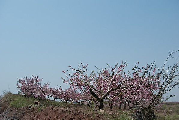 ɽ�ϵ��һ���