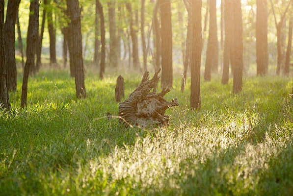 Ϧ�����ݵ�