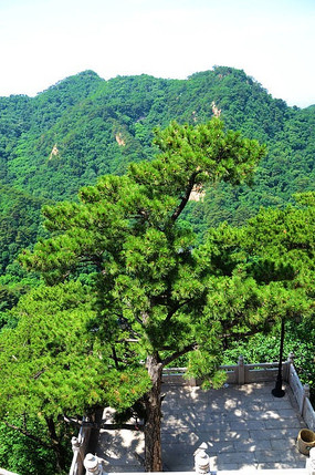 Զ����ɽ����ǧɽ���ձ���ǰԺ������