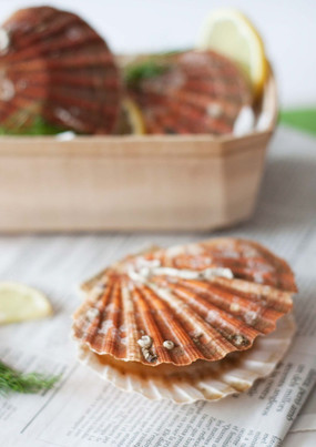 ���ຣ��ͼƬ