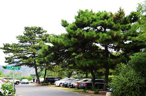 ǧɽ����ͣ�����������복��·