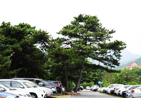 ǧɽ����ͣ������������ͣ�ŵĳ�