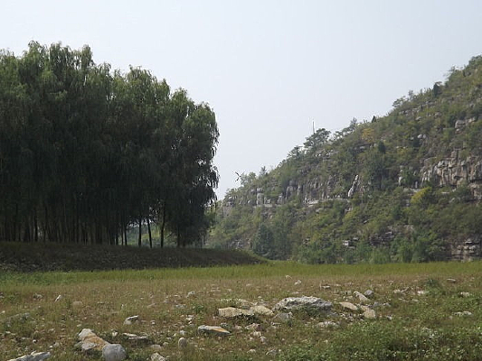 ɽ������