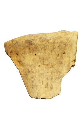 �׹���ԭ��