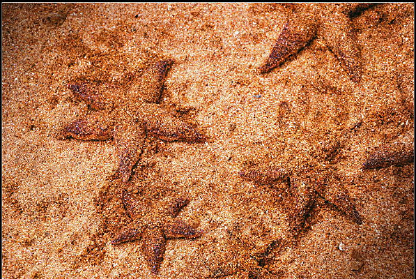 ���ߺ���