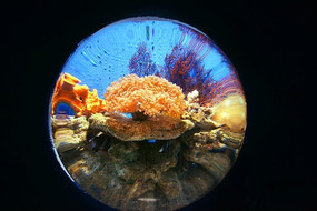 ɳ̲��������