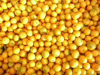 ��ɫ�Ľ���