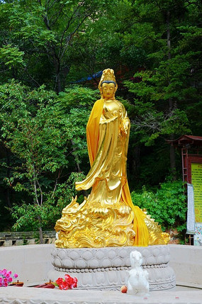 ǧɽ��Ȫ�¿���Ժ�ڹ���