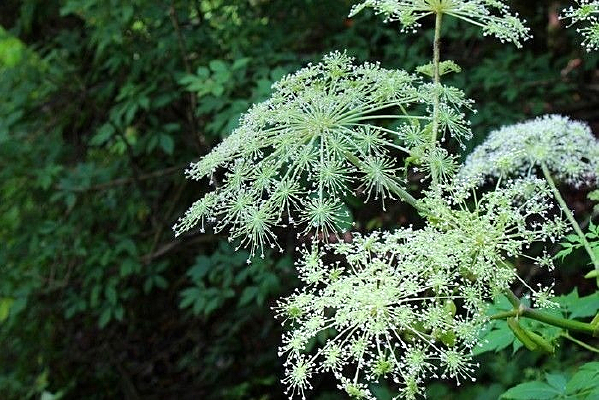 ��ũ�ܵ�Ұ��