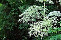 ��ũ�ܵ�Ұ��