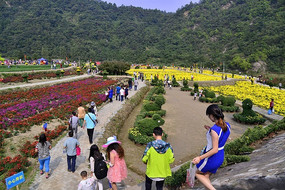 �ο��������ջ�