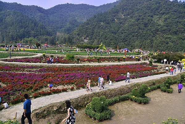 ������չ������