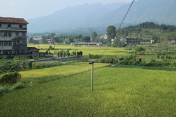 ��ɫ����