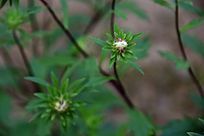 ���ŵİ��¾�