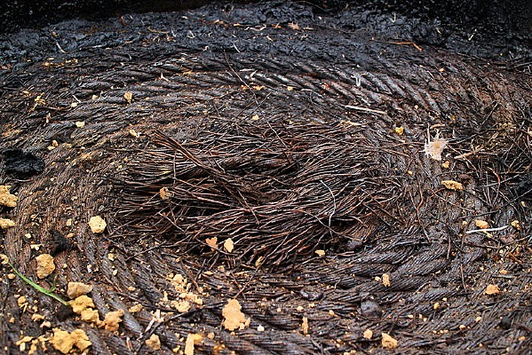 ������˿