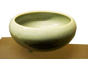 ���㶹���¯