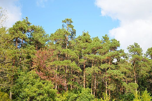 �����´���