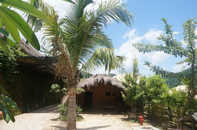 é����ǰ�Ĵ���