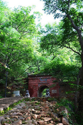 ��ǰ������