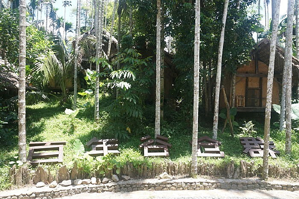 ɭ���йȲ�Ⱥ