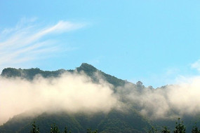 ��ũ����ũ��