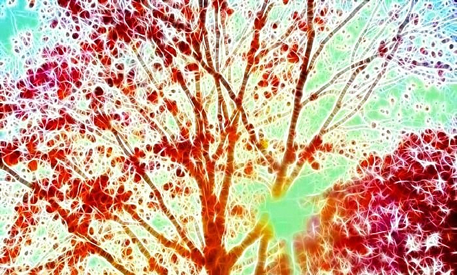 ��װ�λ���