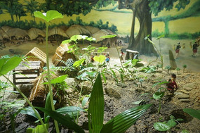 ��������Ҷ